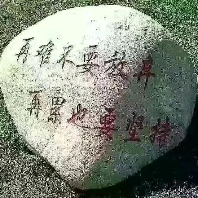 奋斗人生