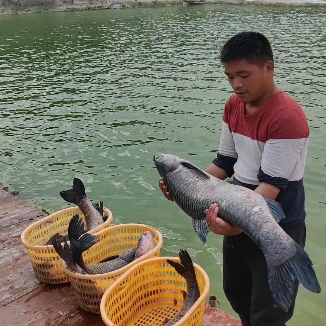 向老弯钓鱼场