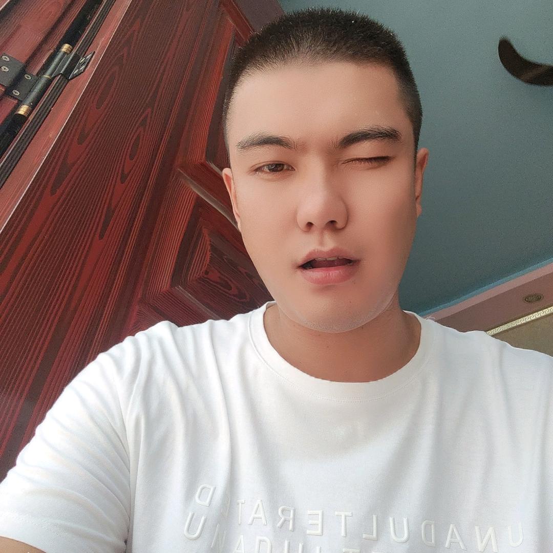 加勒比ф海狗