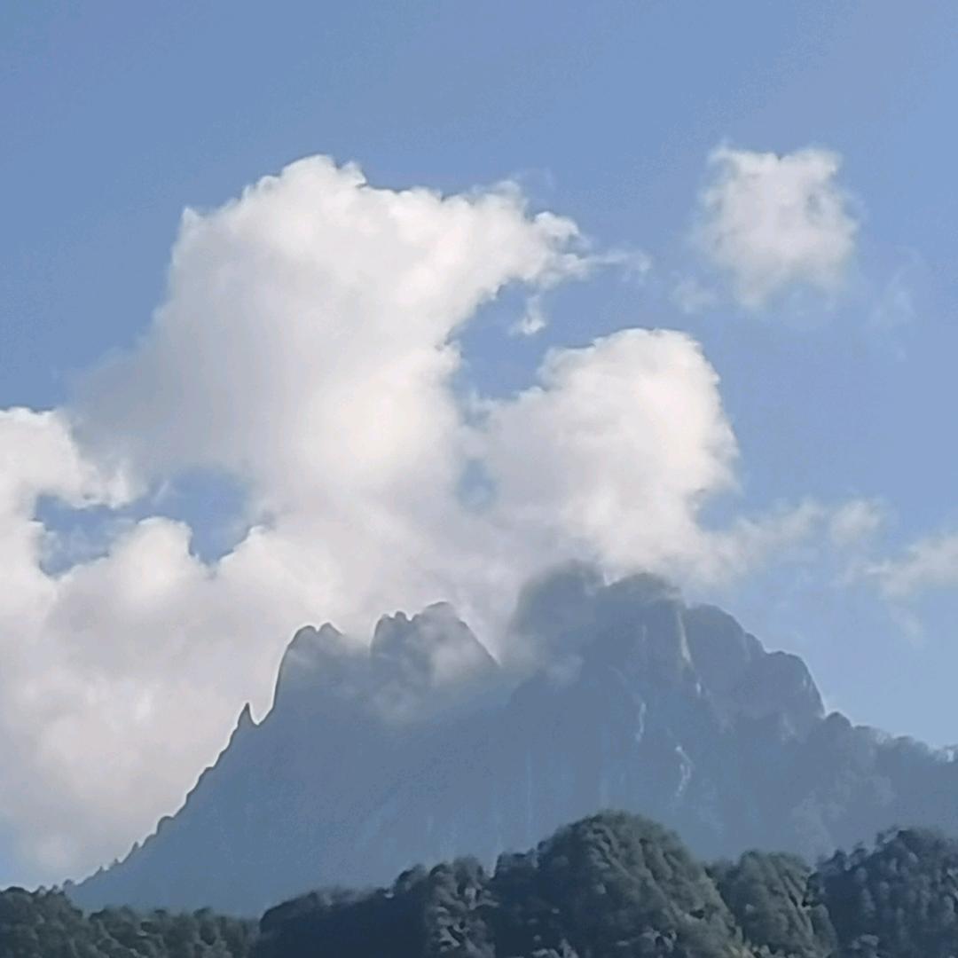 迷人的小王子
