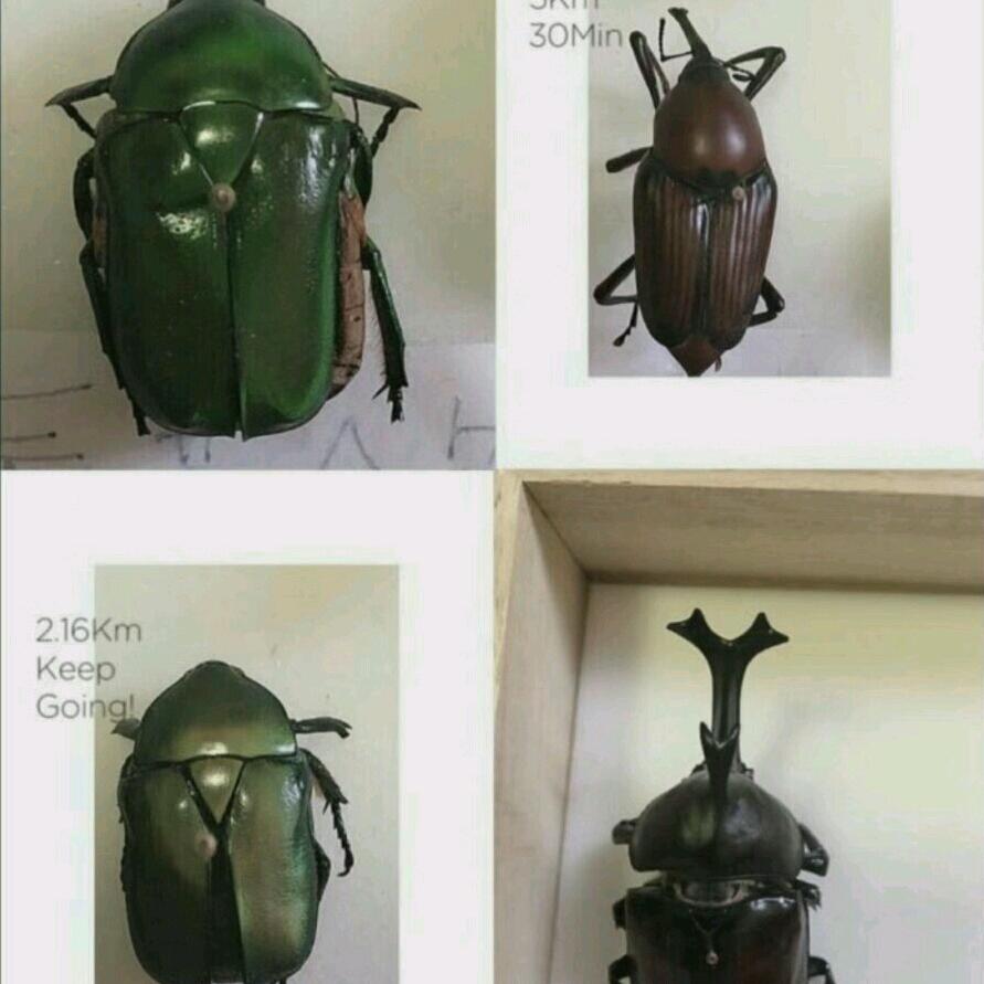 盛夏之森 等9999人