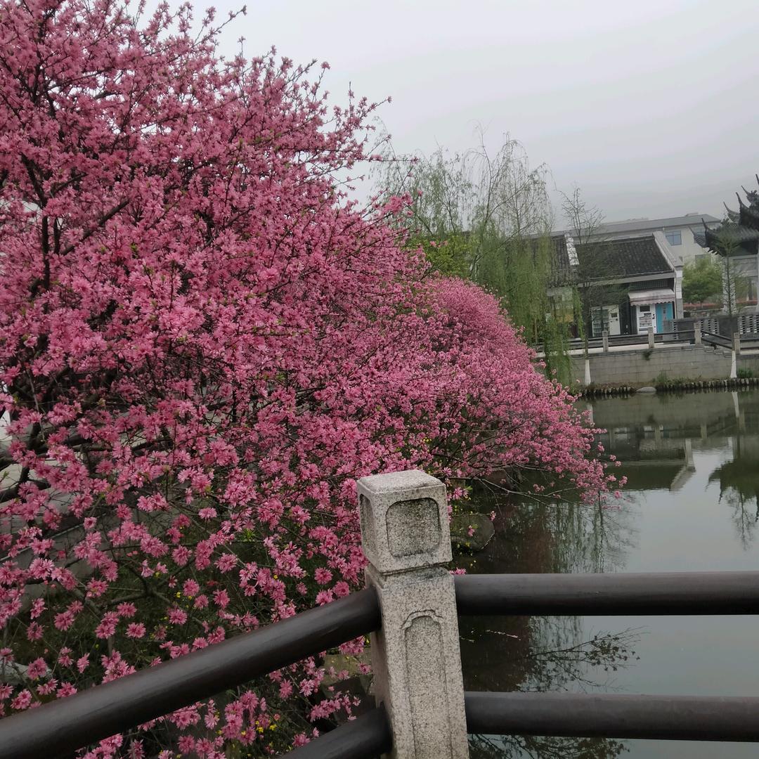 心想事城