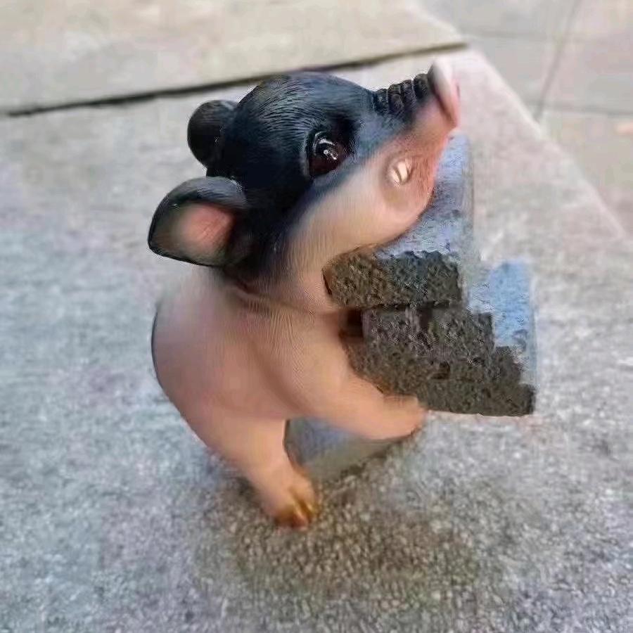 💖阳阳💘