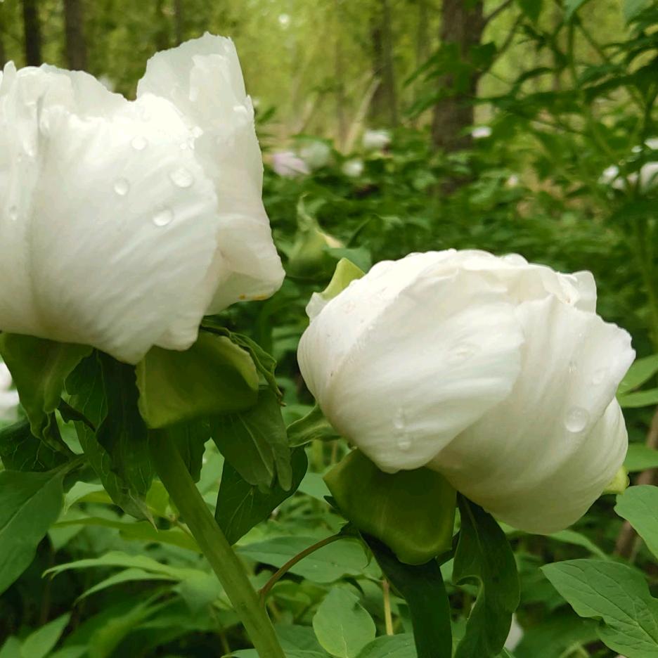 你五姐👨‍👩‍👦