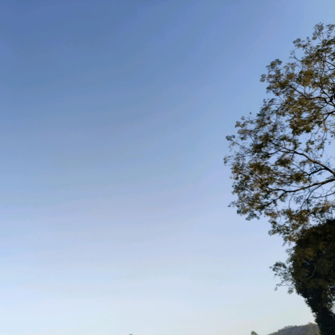 坤