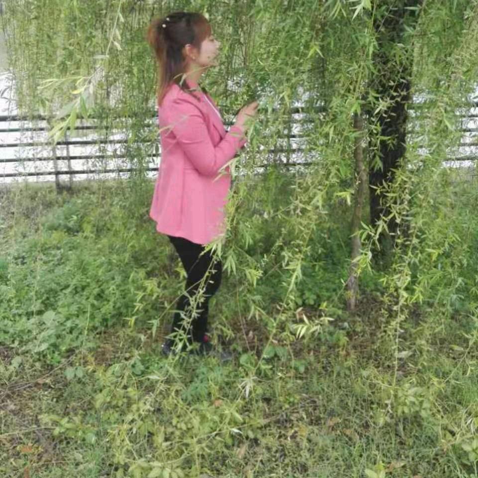 吴可替代