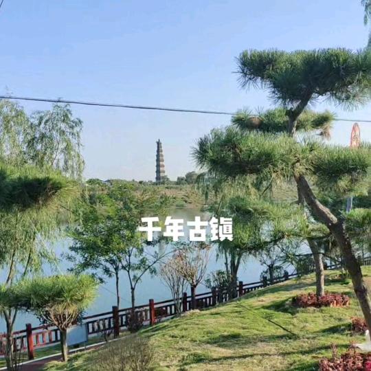 逍遥自在