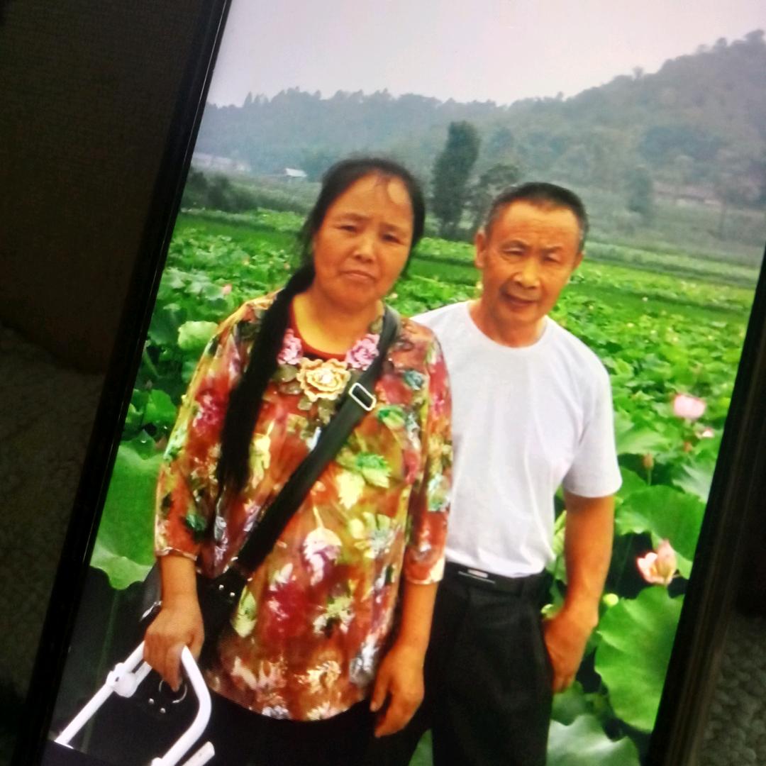 老来乐