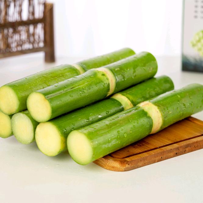 淘果甘蔗合作社