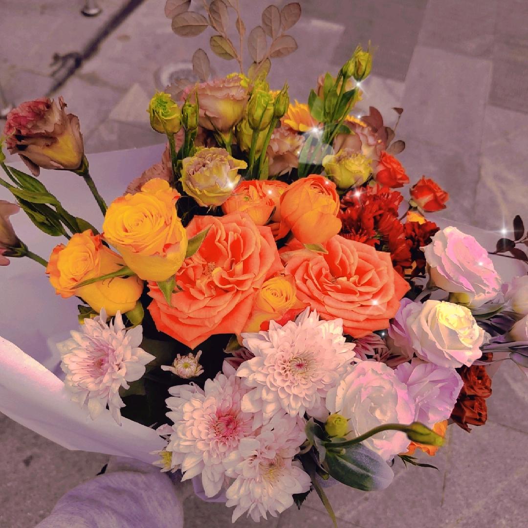 ァ不次香菜的姐姐ャ