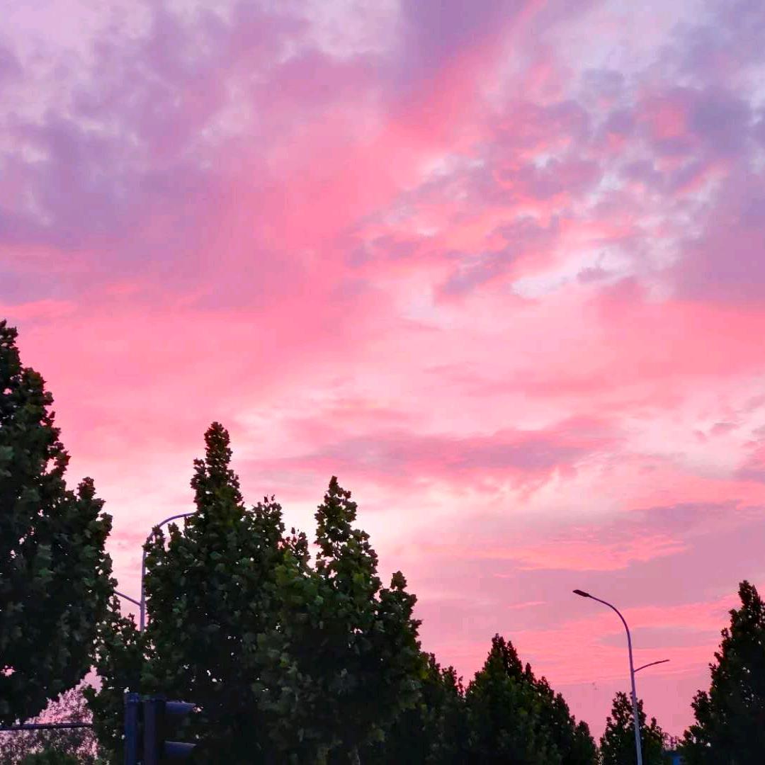 张同学