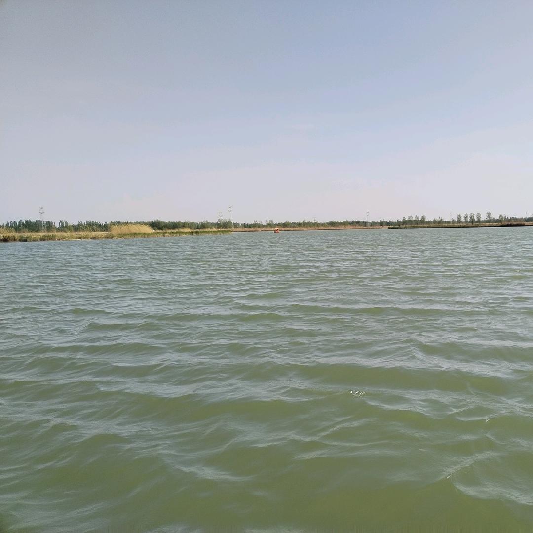 疯子的世界没人懂