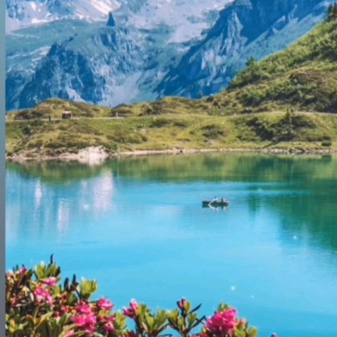 陶老大月饼荥阳总经销