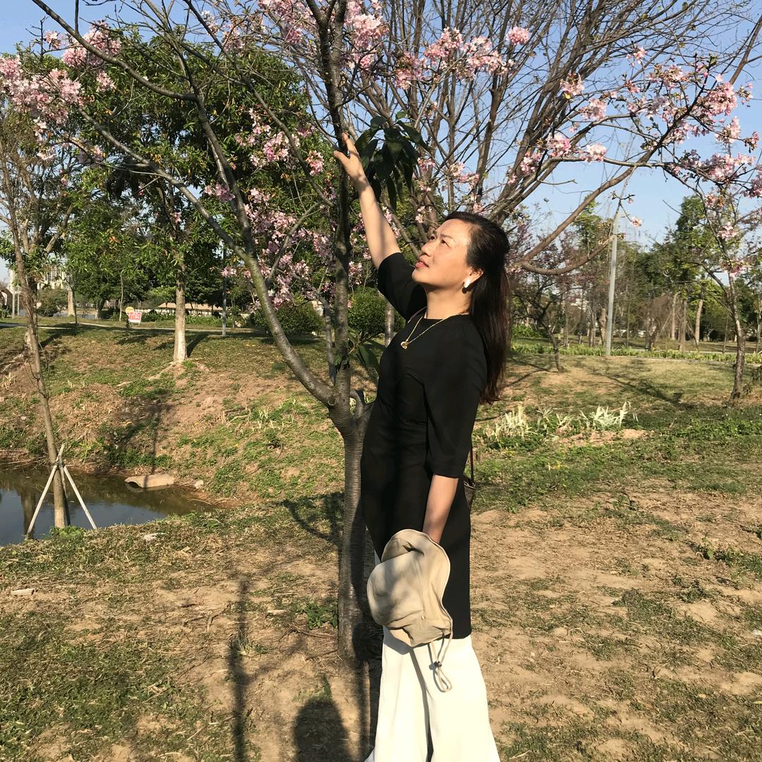 幸运芹
