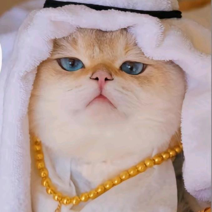 小孬𝒀𝑳𝑮🍊