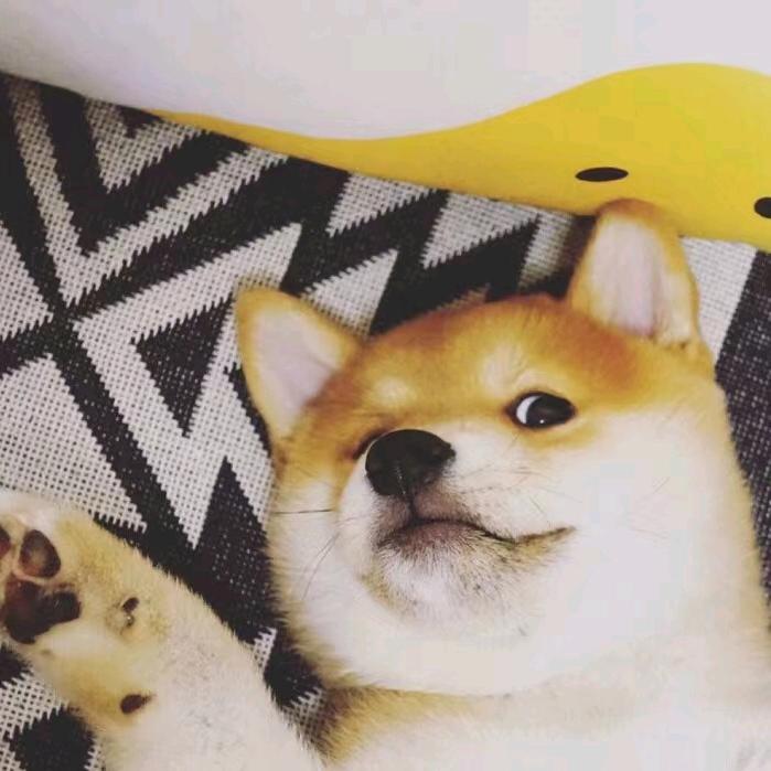 、傲