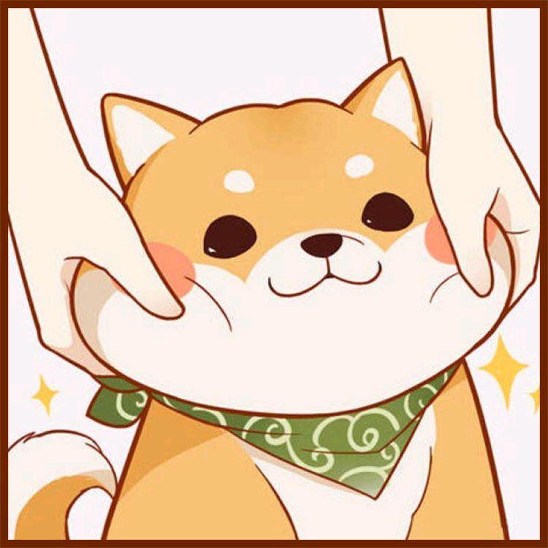 淳真爱玩