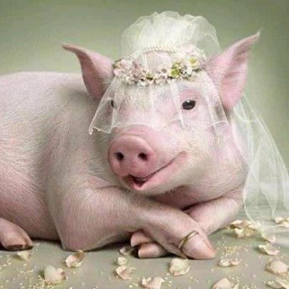 不为二两银撅定