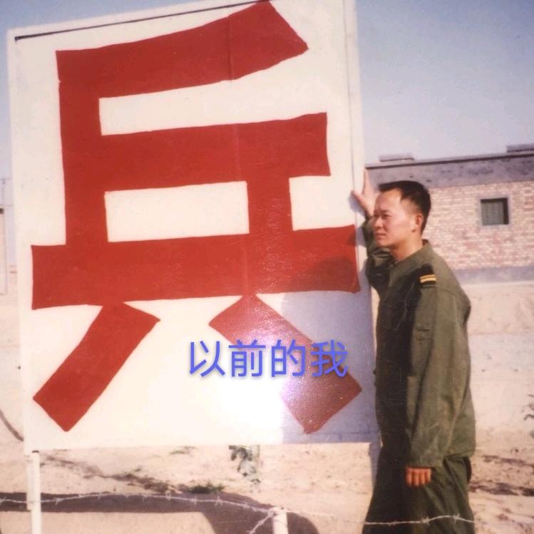 钢蛋子