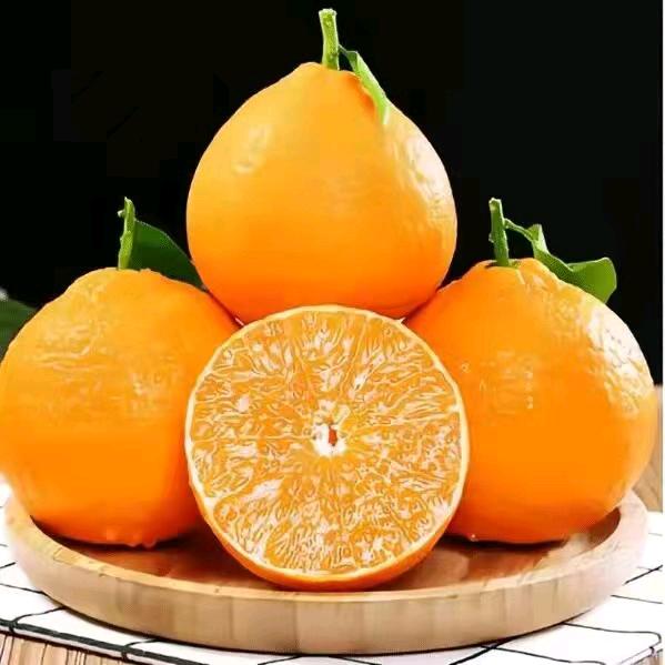 禹名
