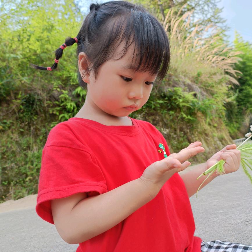 彤妈辅食