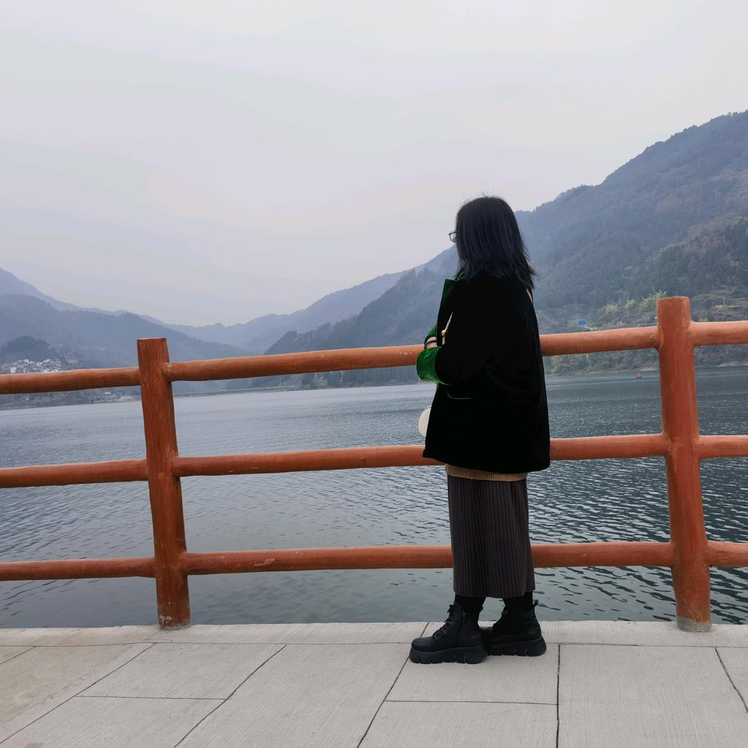 懂亦董