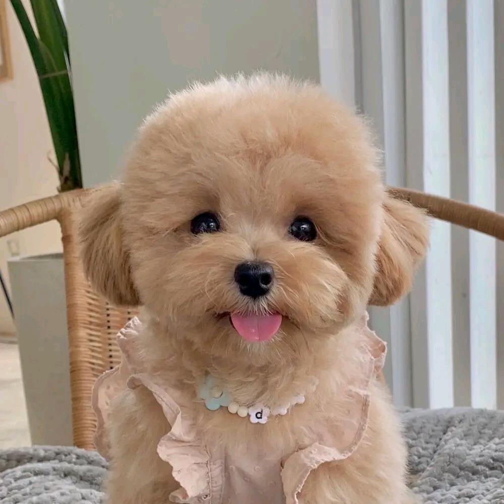 来😘来