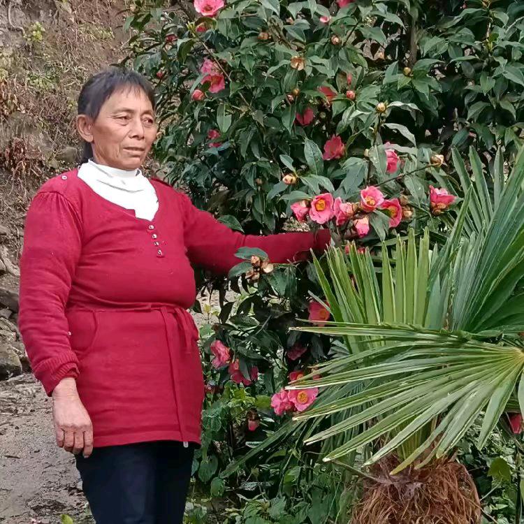 彩云.