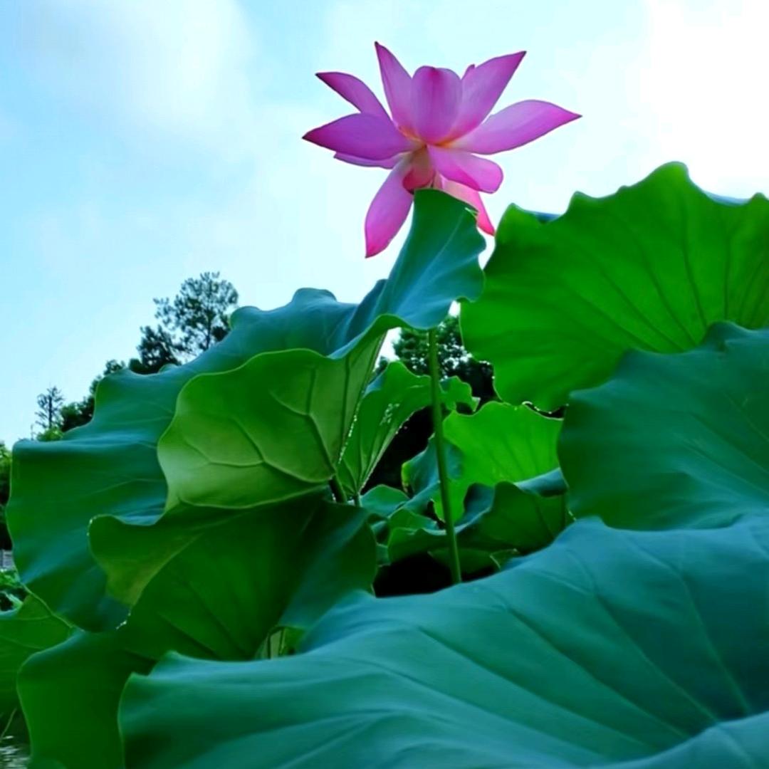 于文学