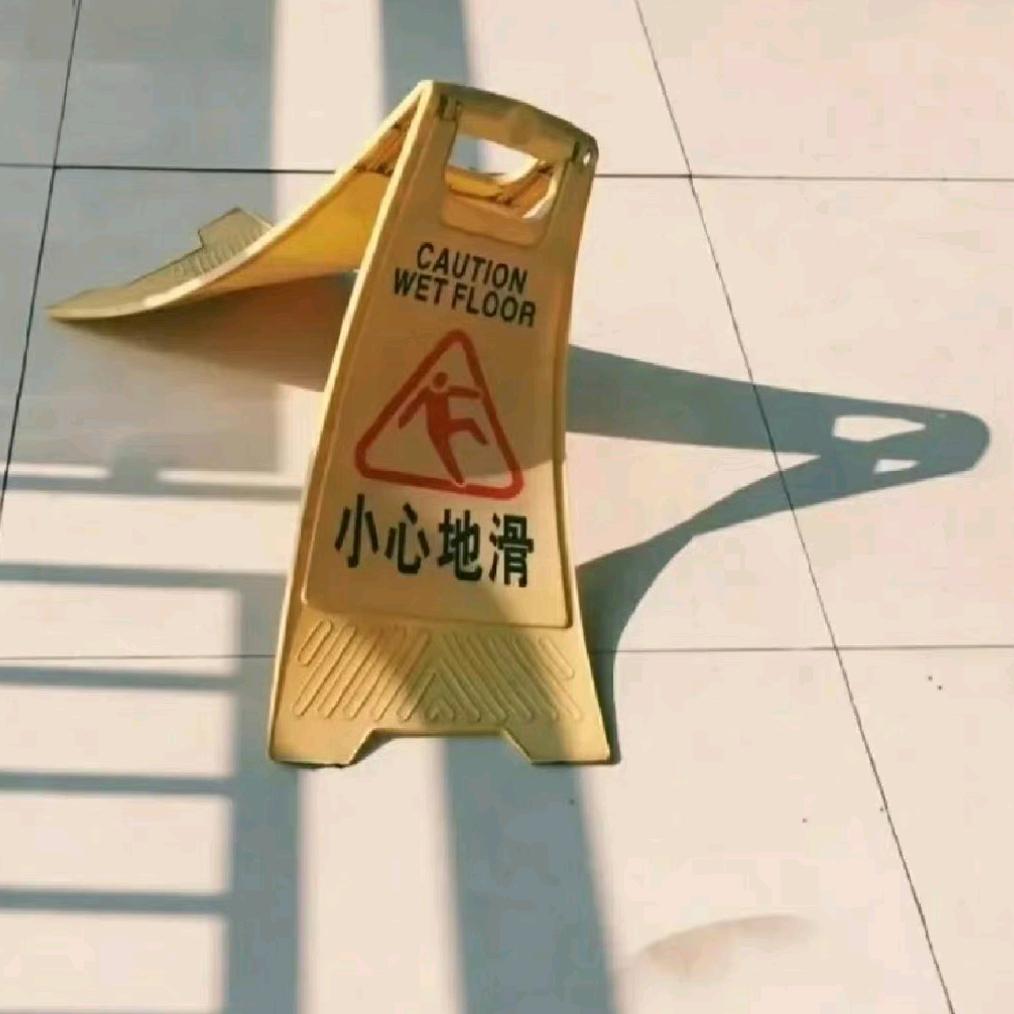 大树（游戏菌）