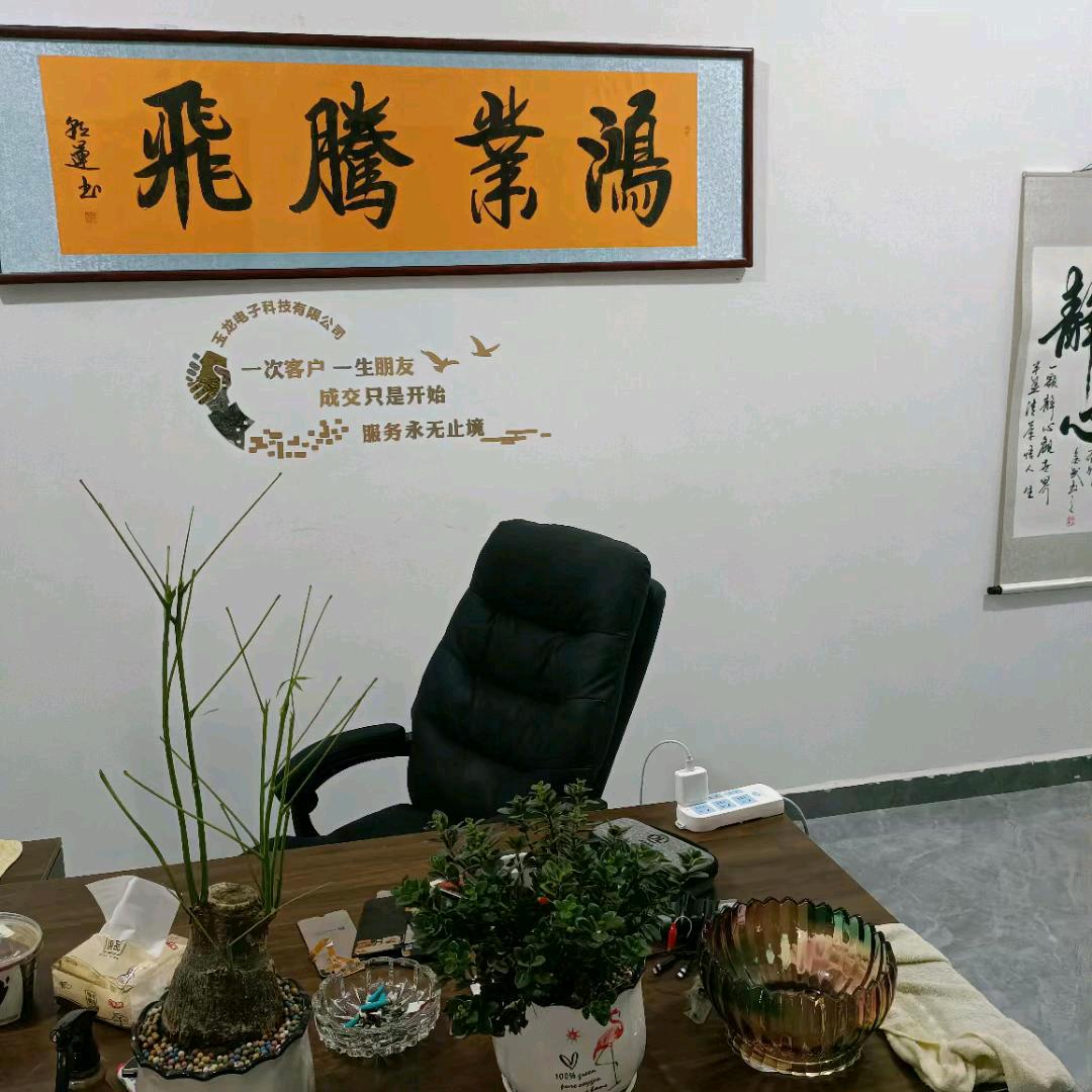 玉龙电子科技有限公司肖总