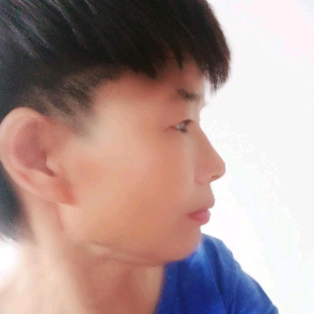 含羞草