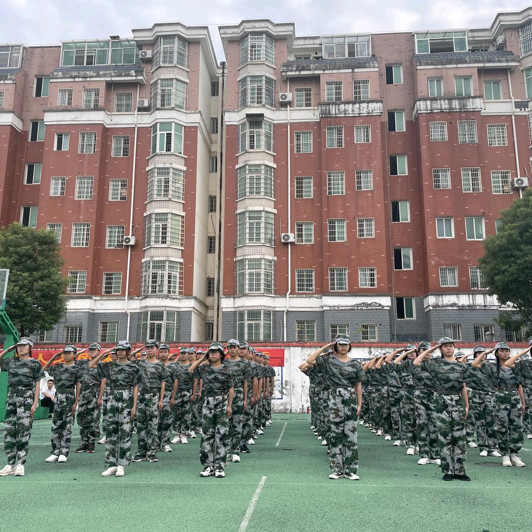蓝紫桐航