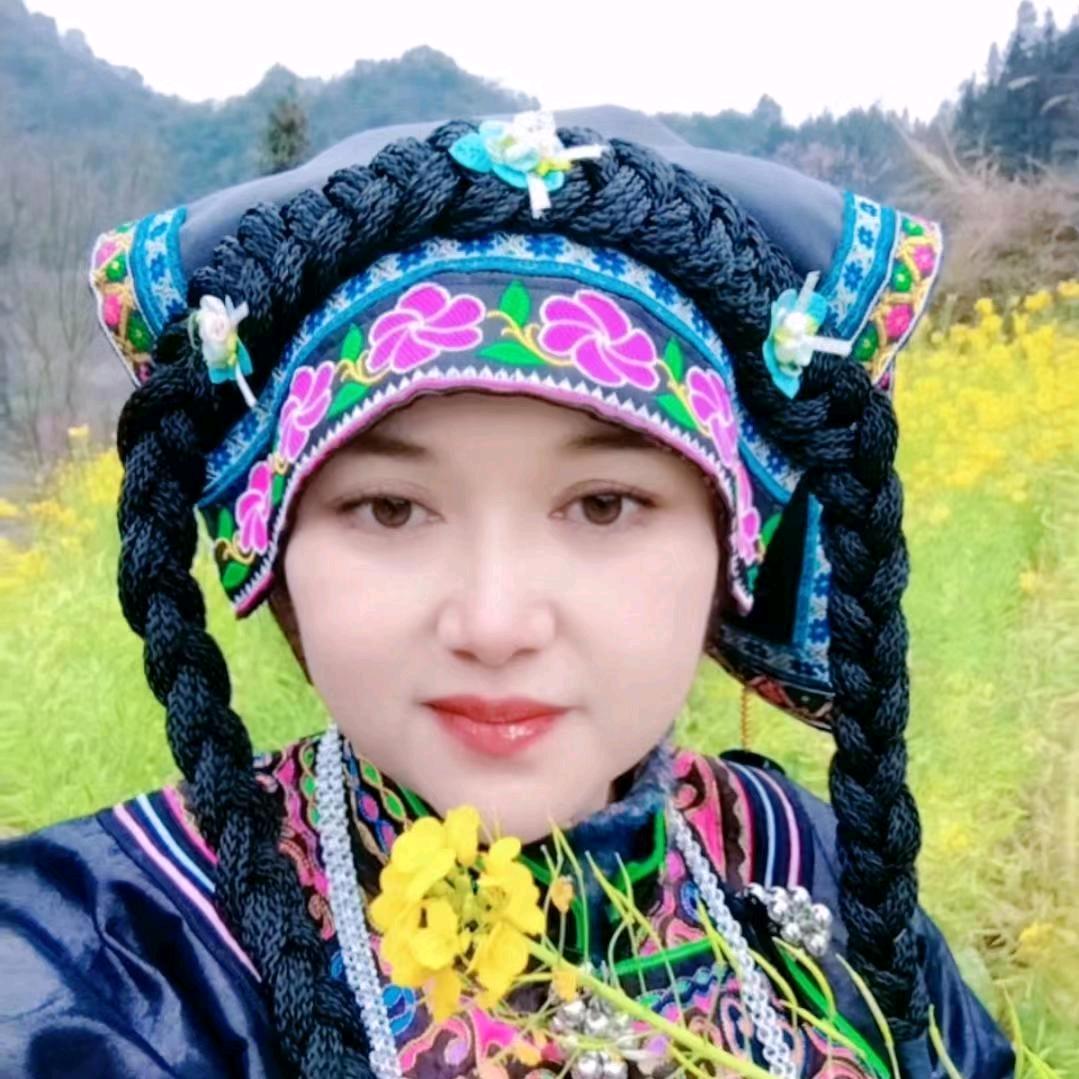 布依依