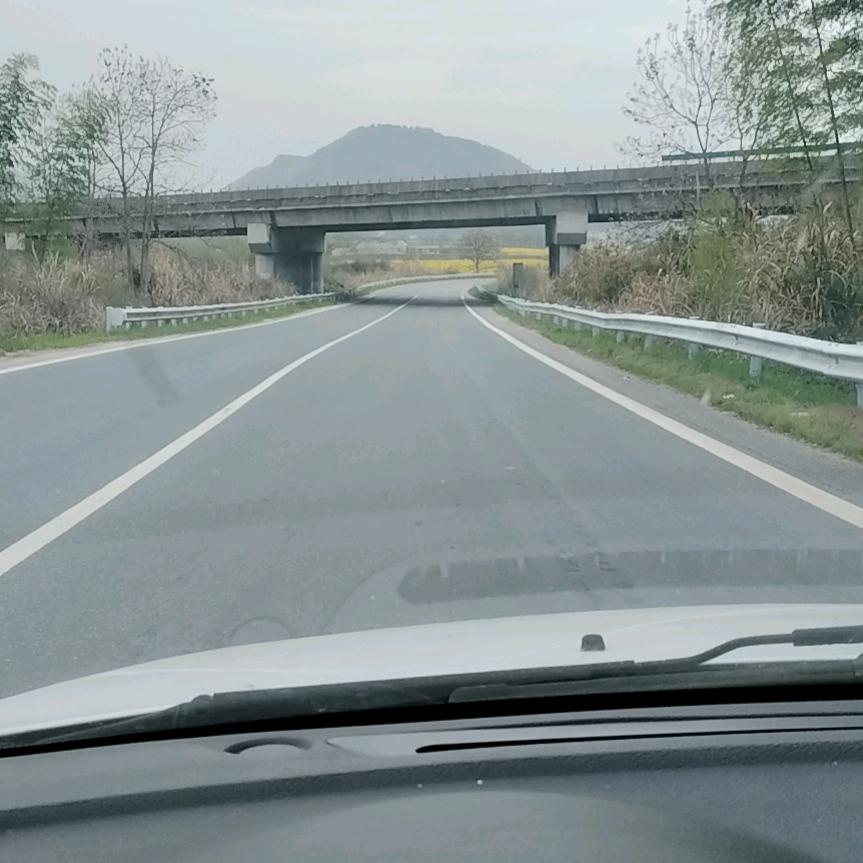 迷若