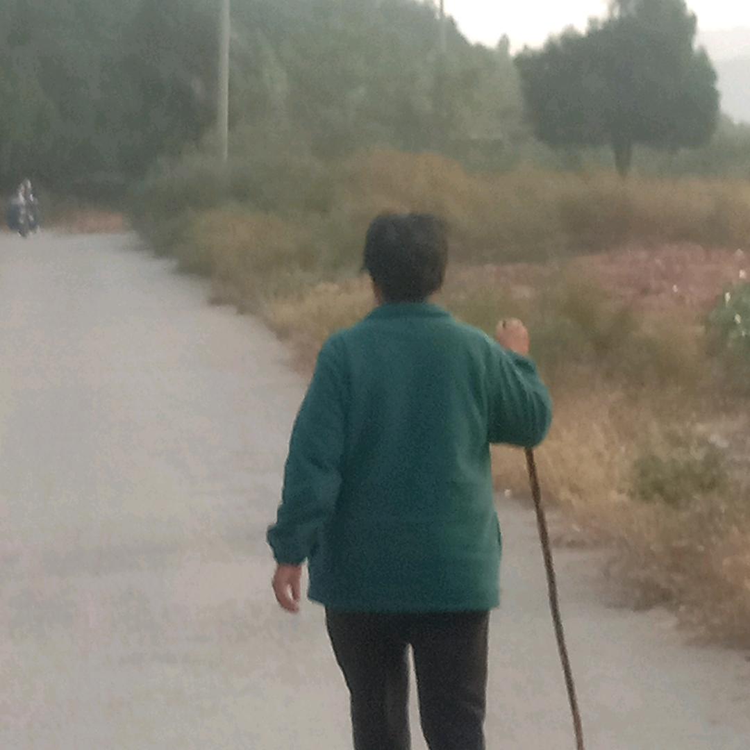 周步页