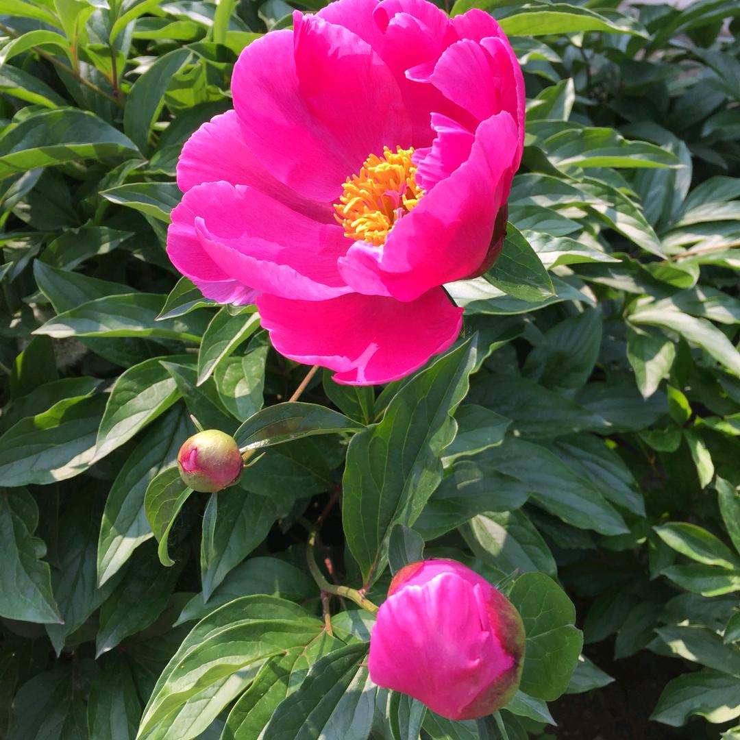 牟雯旻