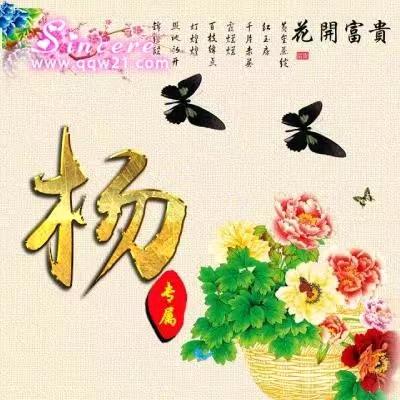 开心每一天