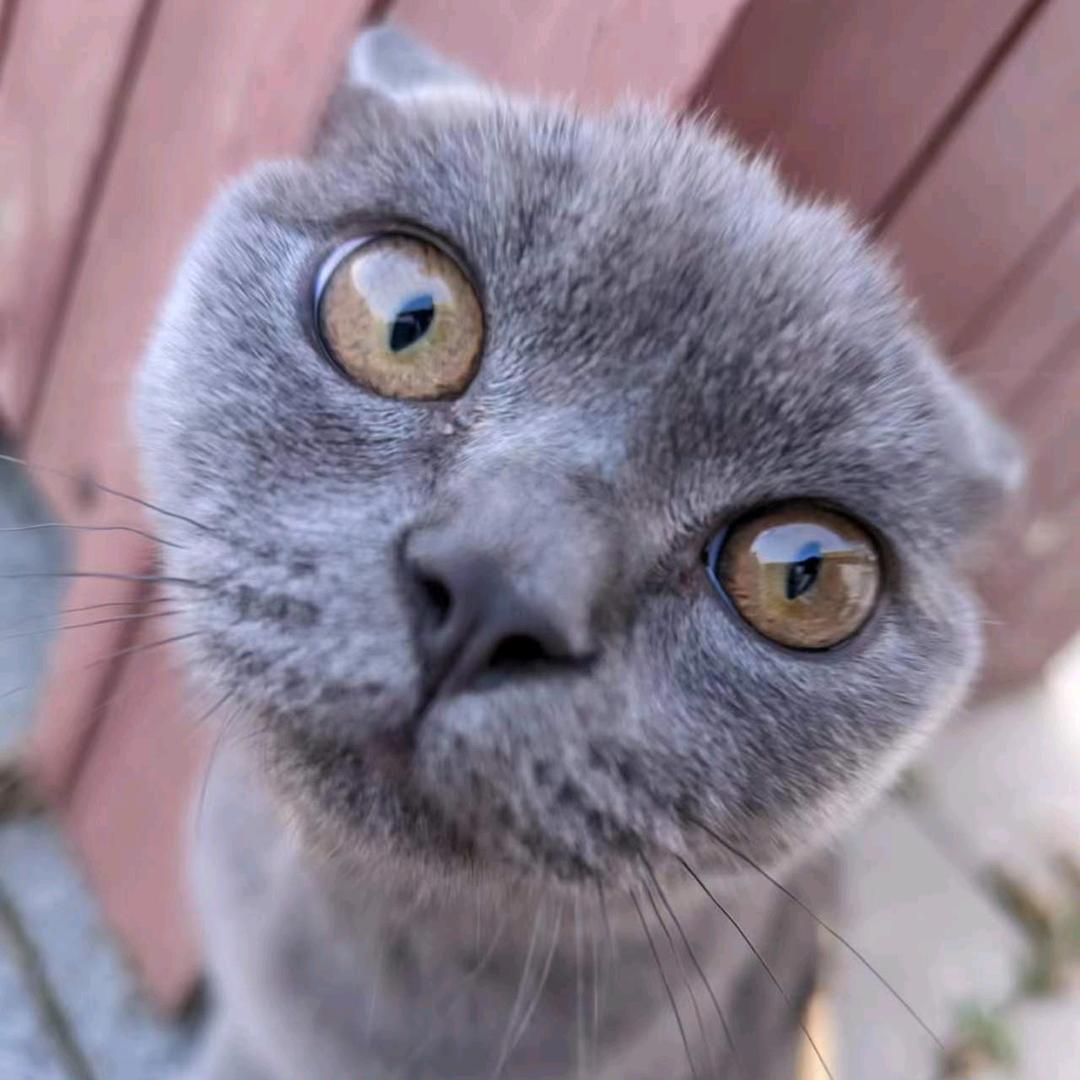 杨66来喽😼