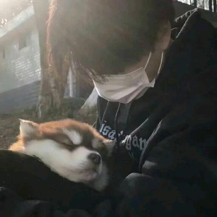 锋线摇摆人