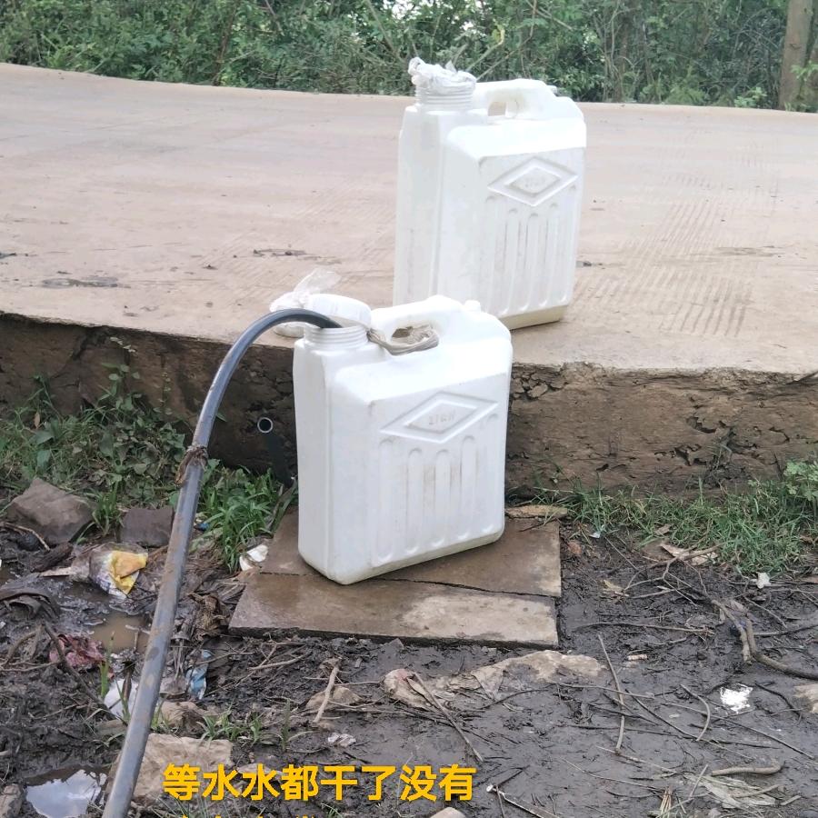 贵州等水歌：黄