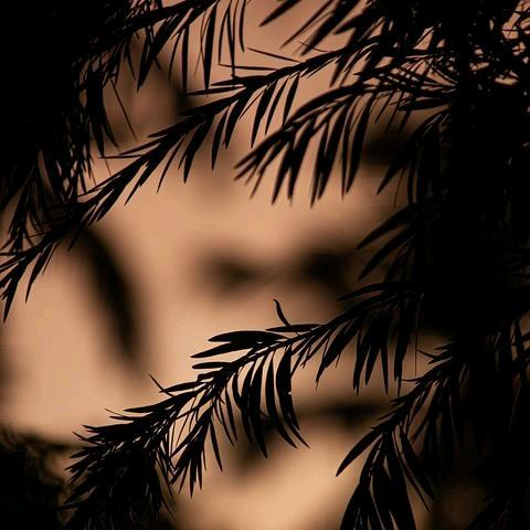 丹、