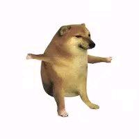 踽踽犄角