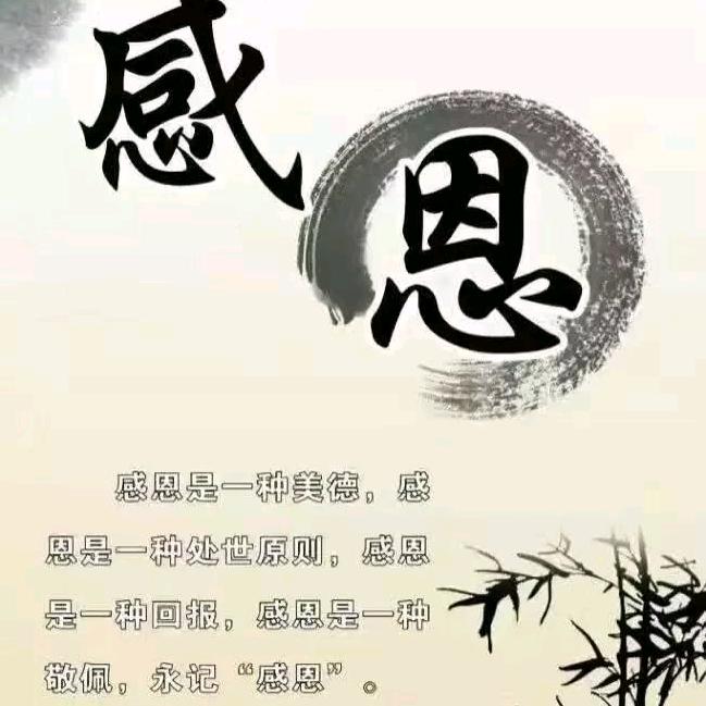 南方的天空