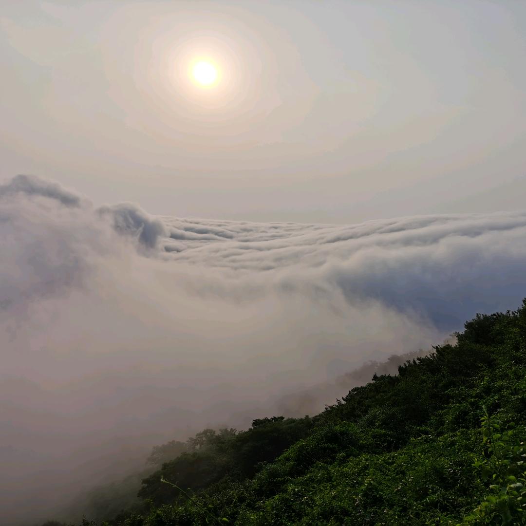 黄岛区二环十三郎