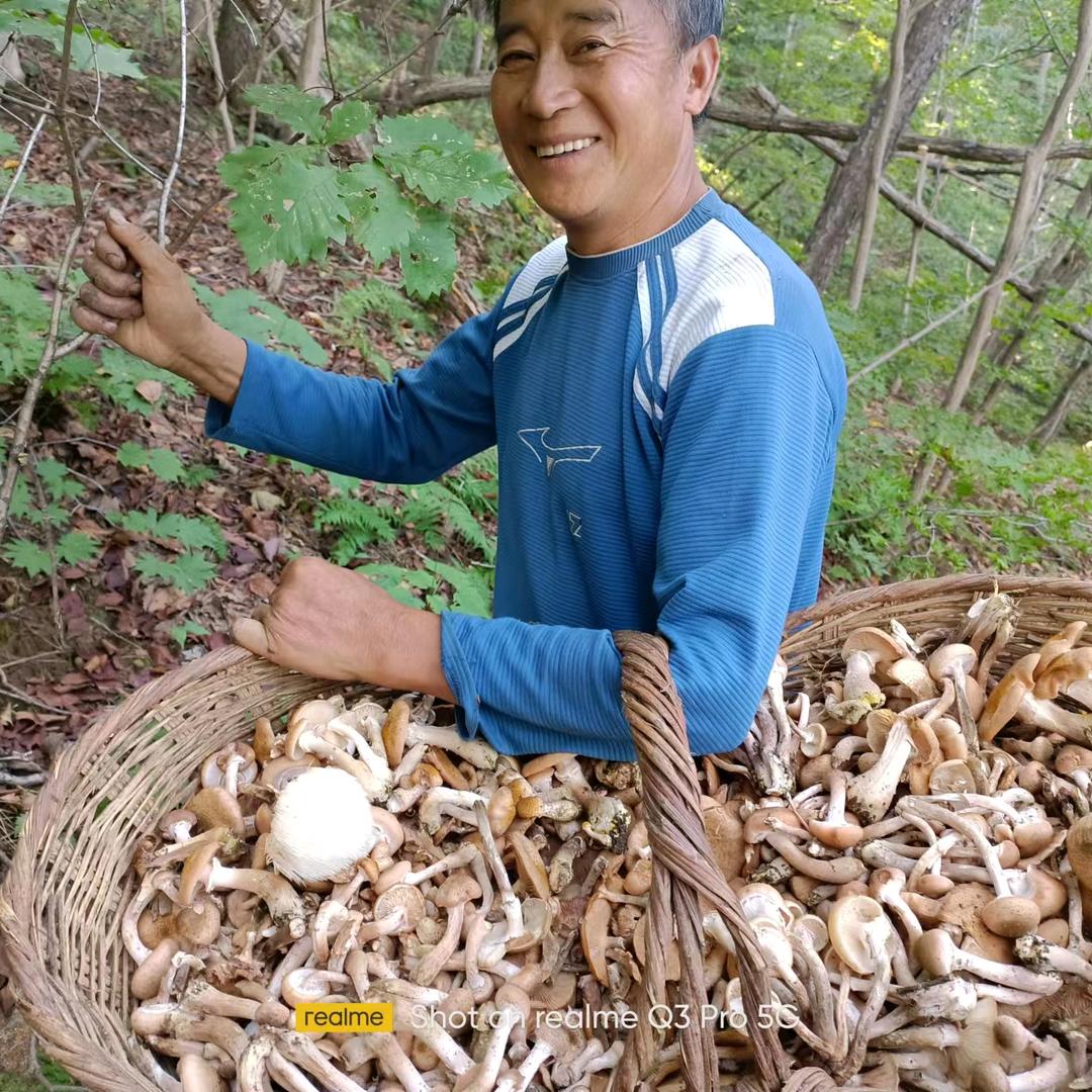宽甸满族自治县杨木川镇峰叔土特产店