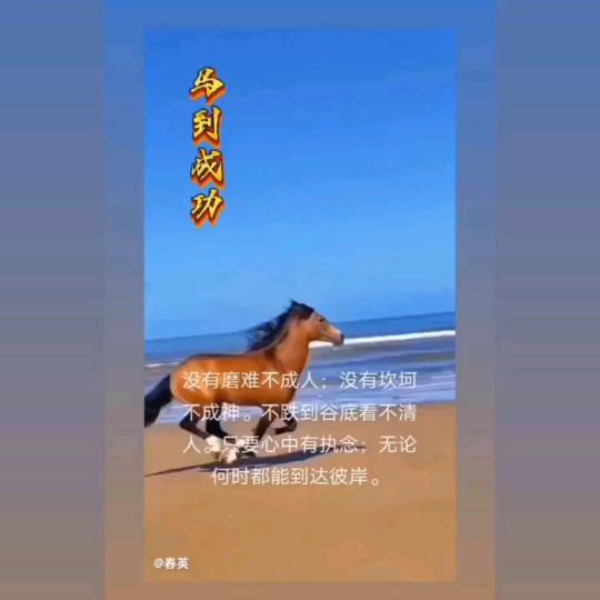 马到成功