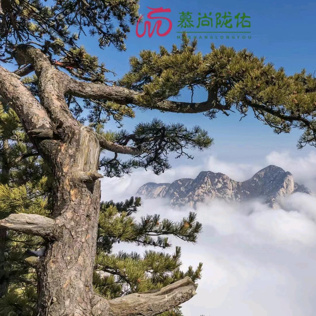 慕尚陇佑  🫶🫶虎子户外