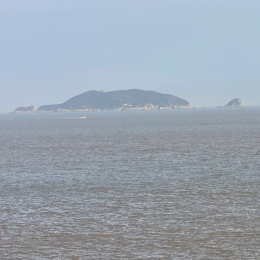 二月龙