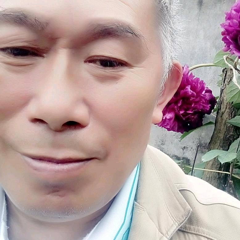 znou茶香之地